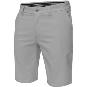 Galvin Green Paolo Ventil8+ Mens Shorts Steel Grey 42