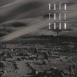 Rain Tree Crow - Rain Tree Crow (LP)