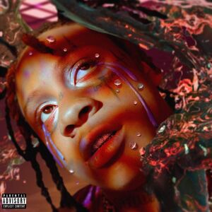 Trippie Redd - A Love Letter To You 4 (2 LP)