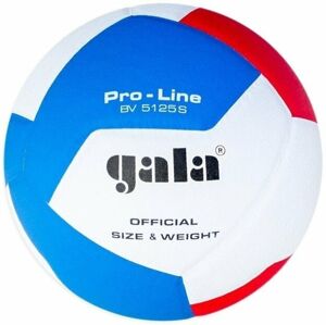 Gala Pro Line 12 Halový volejbal