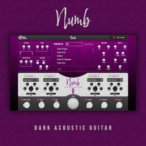 New Nation Numb - Dark Acoustic Guitar (Digitálny produkt)