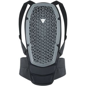 Dainese Pro Armor Back Protector G1 Black XL