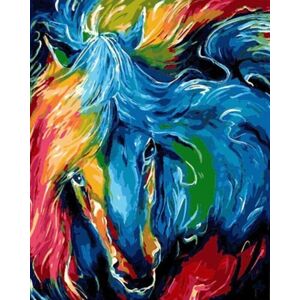 Gaira Maľovanie podľa čísiel Farebný kôň
