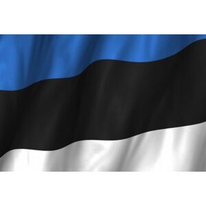 Talamex Flag Estonia 20x30 cm