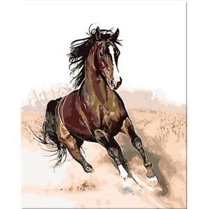 Zuty Maľovanie podľa čísiel Cválajúci kôň