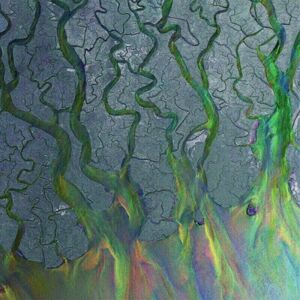 alt-J - An Awesome Wave (Fern Green Coloured) (LP)