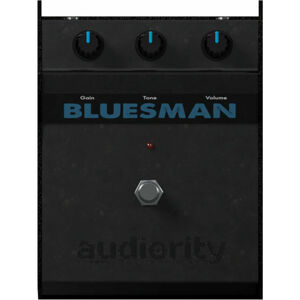 Audiority The Bluesman (Digitálny produkt)