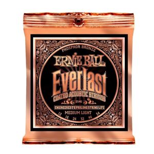 Ernie Ball 2546 Everlast