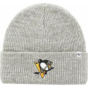 Pittsburgh Penguins Hokejová čiapka NHL Brain Freeze GY
