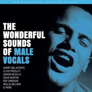 Various Artists - The Wonderful Sounds Of Male Vocals (200g) (45 RPM)