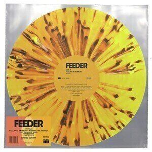 Feeder Feeling A Moment / Pushing The Senses (12'') (RSD) 45 RPM