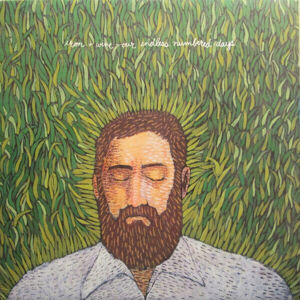 Iron and Wine - Our Endless Numbered Days (LP)