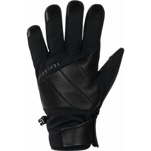 Sealskinz Waterproof Extreme Cold Weather Insulated Glove With Fusion Control Black M