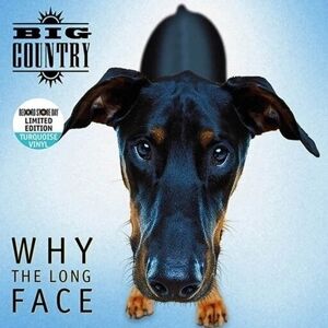 Big Country - Why The Long Face (Blue Coloured) (RSD 2024) (LP)