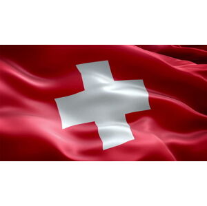 Talamex Flag Switzerland 30x45 cm