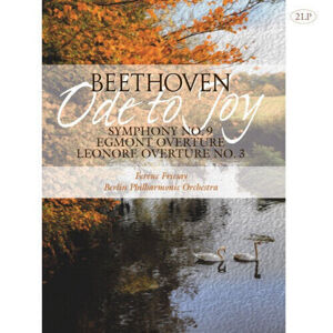 Ludwig van Beethoven Ode To Joy Symphony No. 9 (2 LP)