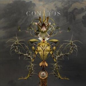 Joep Beving - Conatus (2 LP)