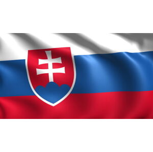 Talamex Slovakia Národná vlajka 20 x 30 cm