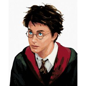 Zuty Maľovanie podľa čísiel Portrét Harryho Pottera