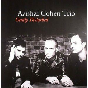 Avishai Cohen - Gently Disturbed (LP)
