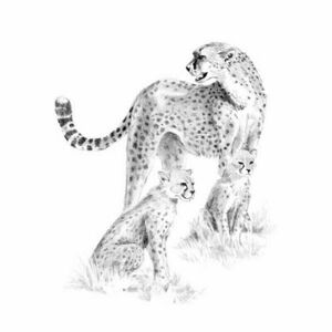 Royal & Langnickel Kreslenie podľa predlohy A4 Leopard