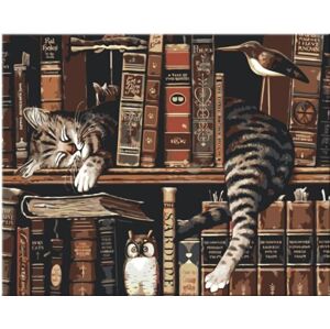 Zuty Maľovanie podľa čísiel Mačka v knižnici