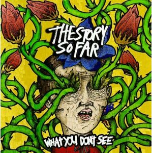 The Story So Far - What You Dont See (LP)