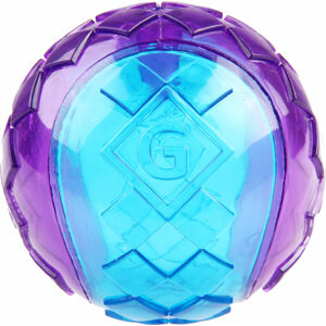 GiGwi Ball with Squeaker Lopta pre psy L