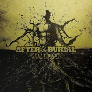After the Burial - Rareform (10 Year Anniversary) (LP)