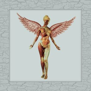 Nirvana In Utero (Limited Edition) (Deluxe Edition) (4 LP)