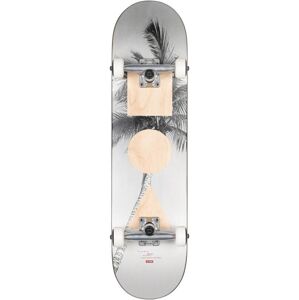 Globe G1 Stack Lone Palm Skateboard