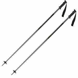 Rossignol Tactic Ski Poles Grey/Black 125 cm Lyžiarske palice