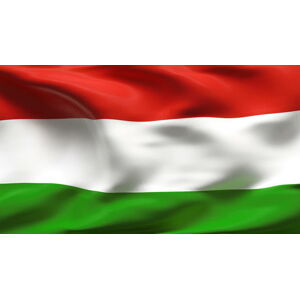 Talamex Flag Hungary 20x30 cm
