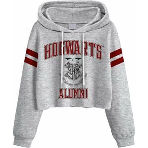 Harry Potter Mikina Hogwarts Alumni Ladies Grey 2XL
