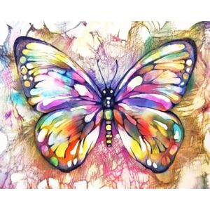 Gaira Maľovanie podľa čísiel Motýľ 1