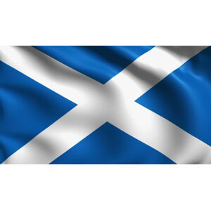 Talamex Flag Scotland 20x30 cm