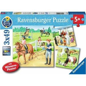 Ravensburger Puzzle Kone 3 x 49 dielov