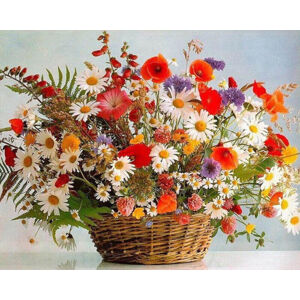 Gaira Maľovanie podľa čísiel Košík s kvetmi