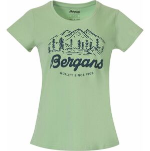 Bergans Classic V2 Tee Women Light Jade Green S Outdoorové tričko