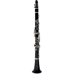 Roy Benson CG-200C Profesionálny klarinet