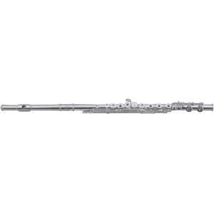 Roy Benson FL-602RE Sopránová priečna flauta