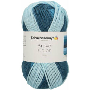Schachenmayr Bravo Color Ocean Color 02141