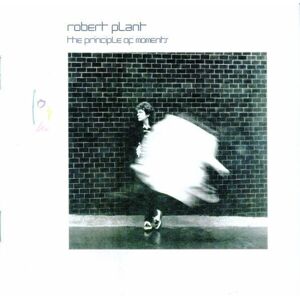 Robert Plant The Principle of Moments Hudobné CD