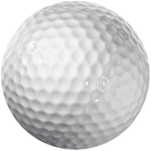 Longridge Blank 2 Piece Golf Ball - White