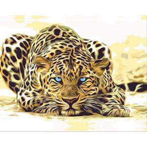 Zuty Maľovanie podľa čísel Leopard