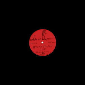 Bill Callahan - Expanding Dub B/W Highs In The Mid-40's Dub (LP)