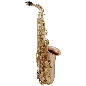 Roy Benson AS-202G Alto Saxofón