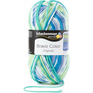 Schachenmayr Bravo Color Aqua Jacquard Color 02080