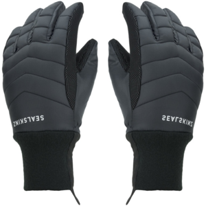 Sealskinz Waterproof All Weather Lightweight Insulated Gloves Black M