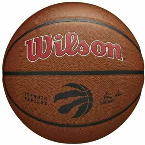 Wilson NBA Team Alliance Basketball Toronto Raptors